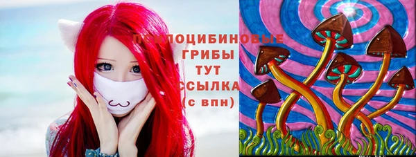 трава Зеленокумск